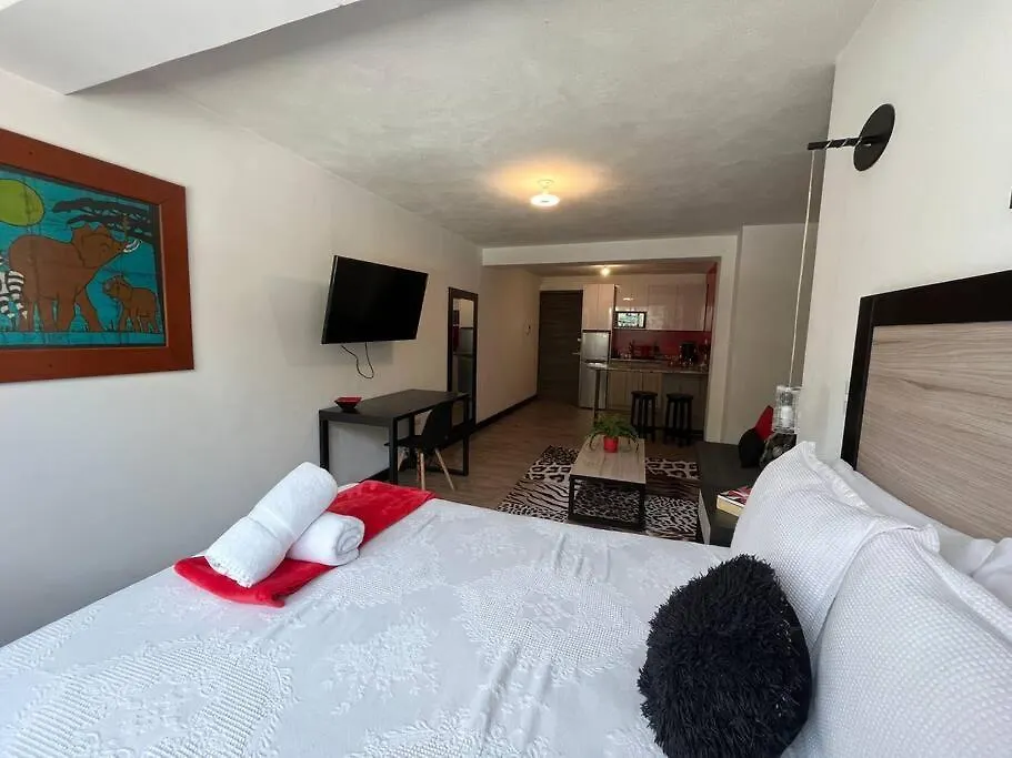 Apartment Dst1 Convenient Studio In Zone 15 Guatemala City